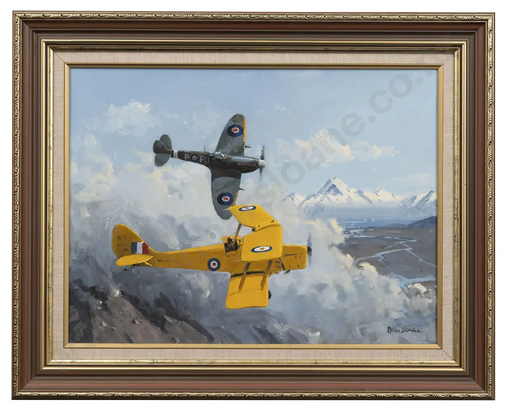 Peter Beadle - Spitfire & Tiger Moth over Mt Cook Image 1++