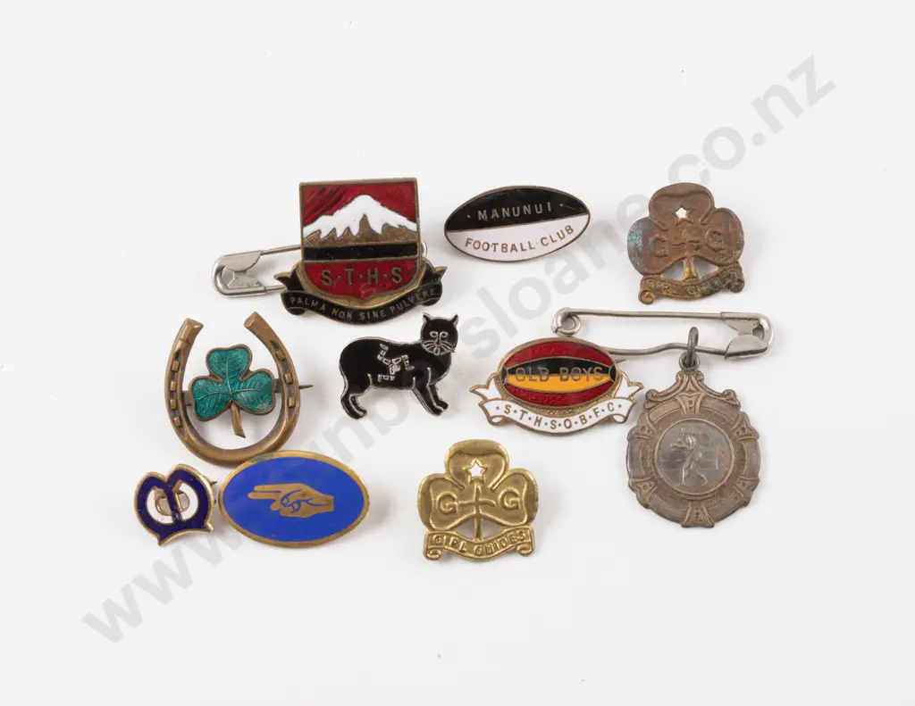 Collection of Assorted Badges Image 1++