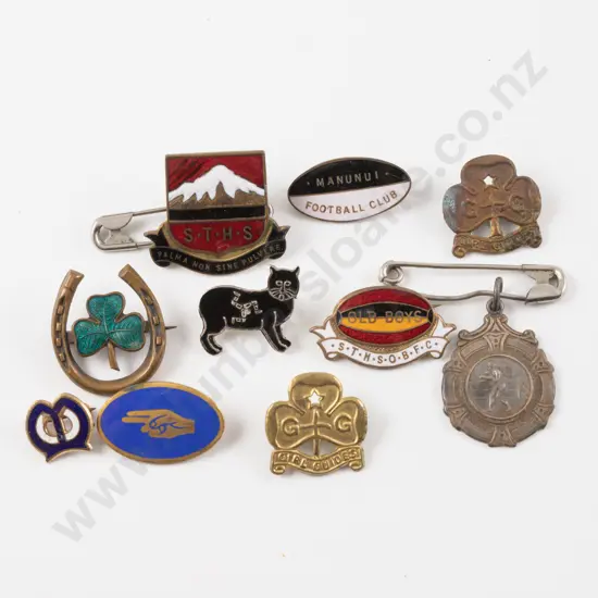 Collection of Assorted Badges
