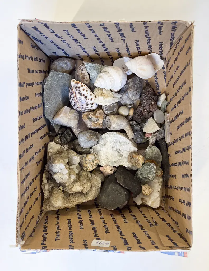 Qty of Assorted Mineral and Geological Samples Including one Piece of Greenstone Image 1++