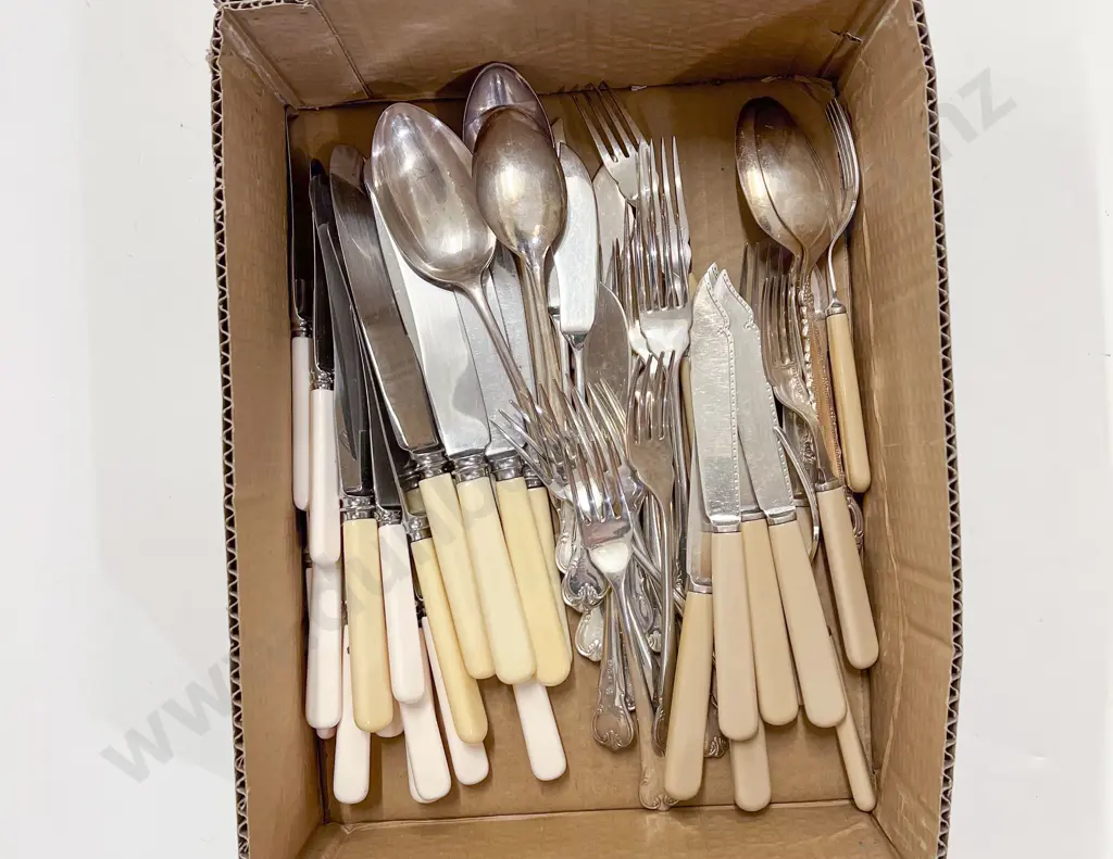 Box Quantity of Assorted Cutlery incl Bone Handled Image 1++