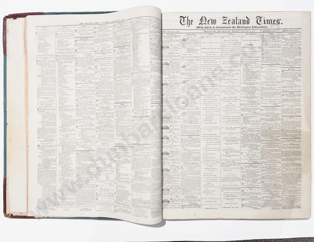 New Zealand Times Jan - June 1875 Image 1++
