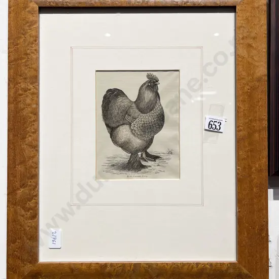 Buff Cochin Cock Bookplate