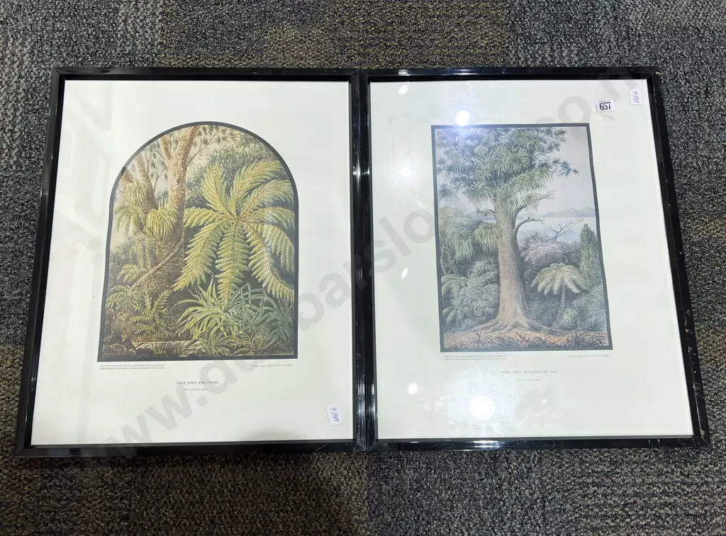 Pair of Turnbull Library Botanical Prints Image 1++