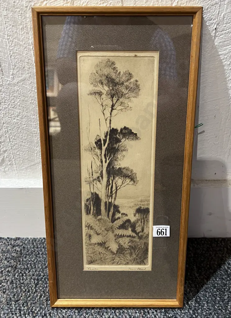 Trevor Lloyd - Tree Fern - Softground Etching Image 1++