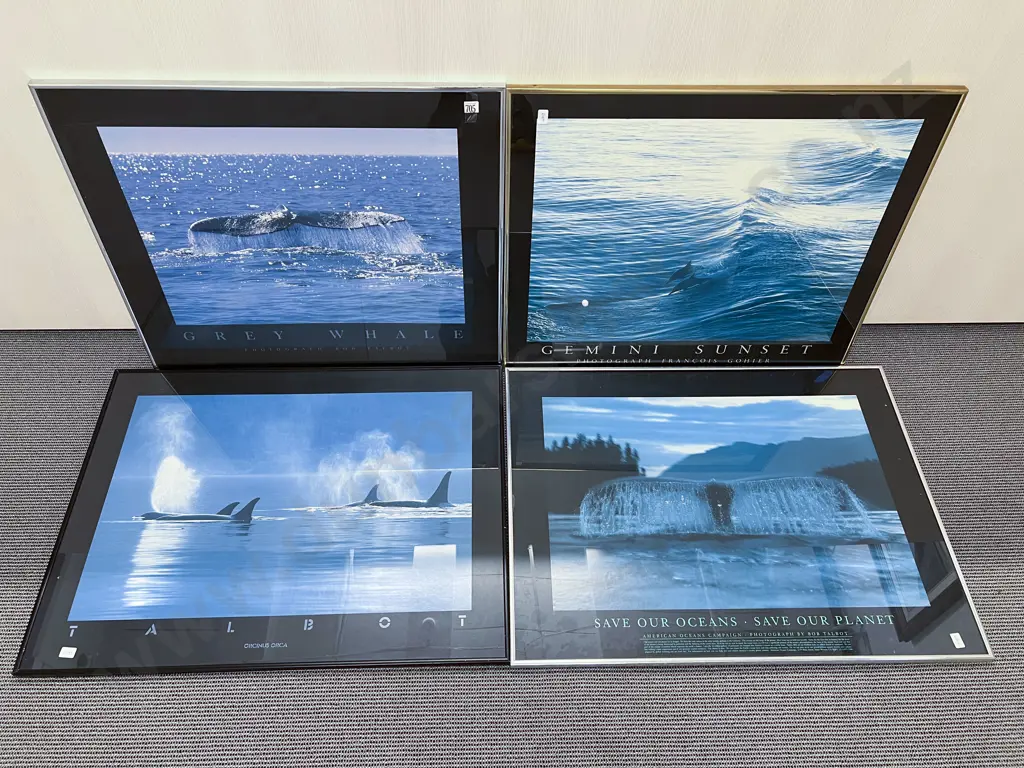 Four Assorted Whale Prints Image 1++