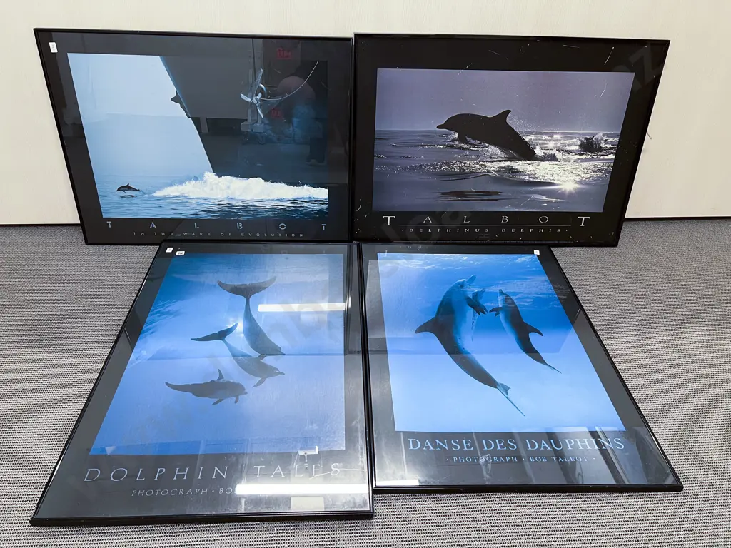 Four Framed Cetacean Prints Image 1++