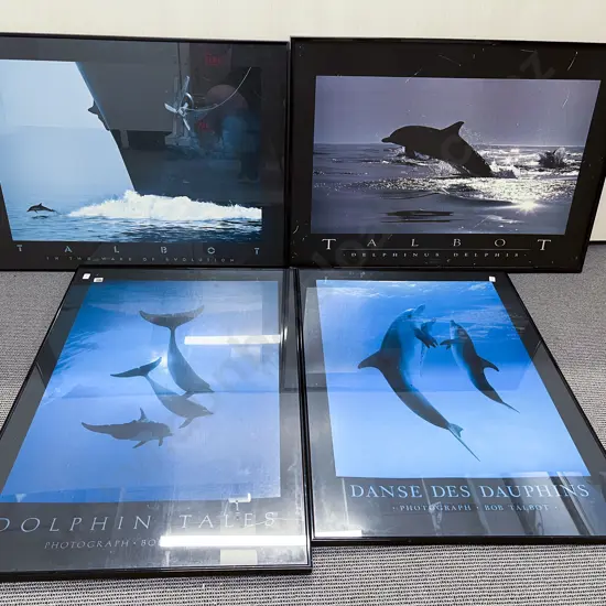 Four Framed Cetacean Prints