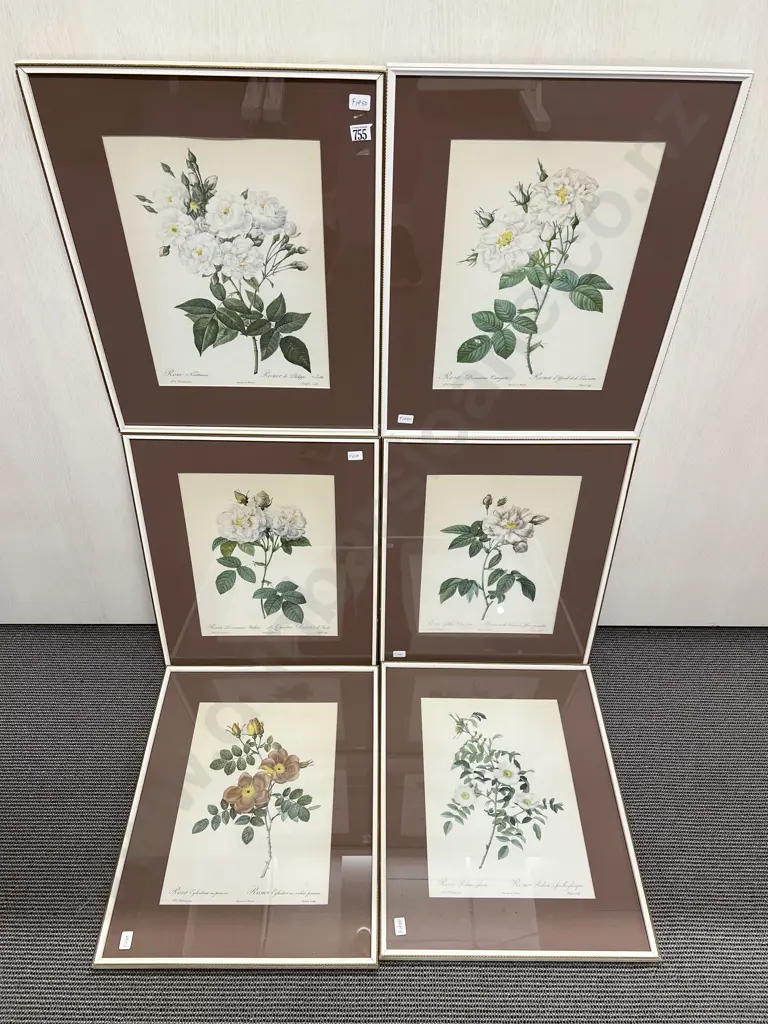 Set of Six Botanical Study Prints Image 1++