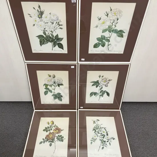 Set of Six Botanical Study Prints