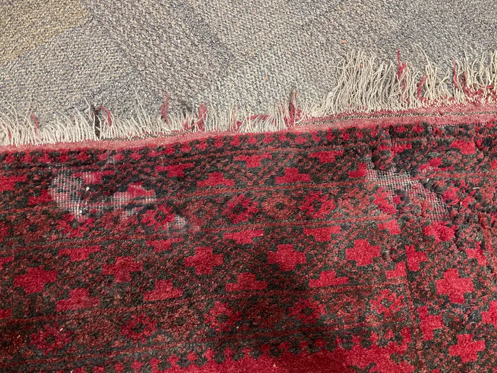 Turkoman Floor Rug a/f Image 1++