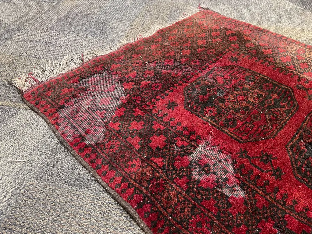 Turkoman Floor Rug a/f Image 1++