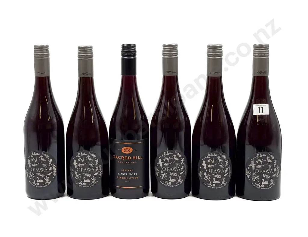 NZ Six Assorted Pinot Noir Image 1++