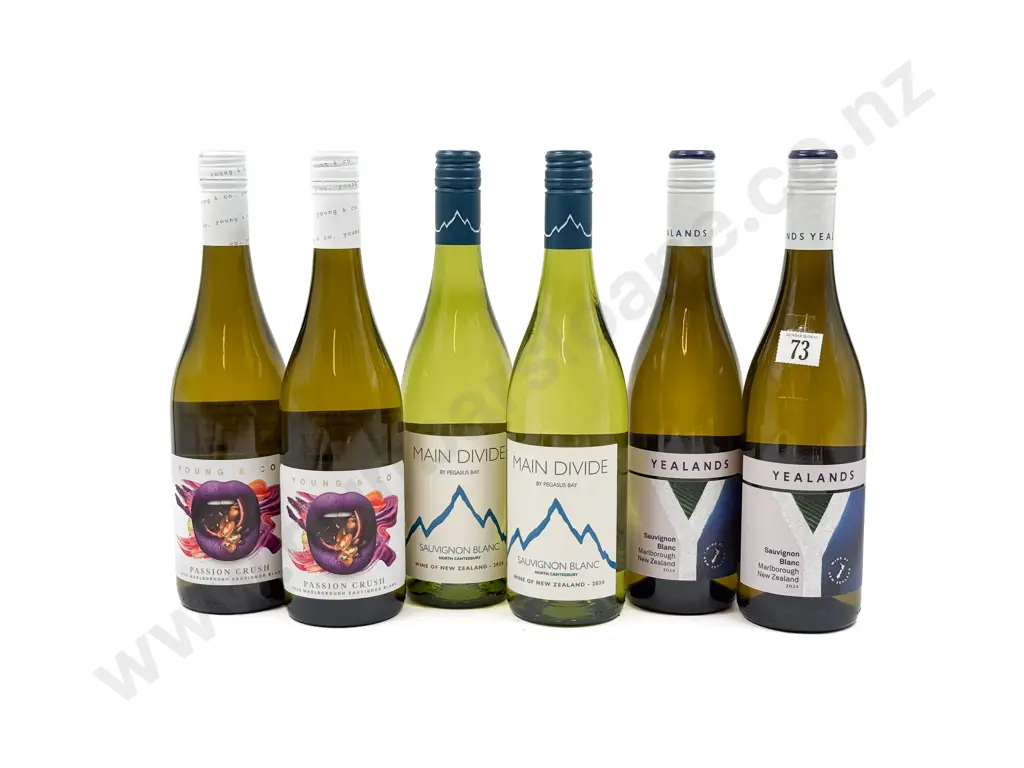 NZ Six Assorted Sauvignon Blanc Image 1++