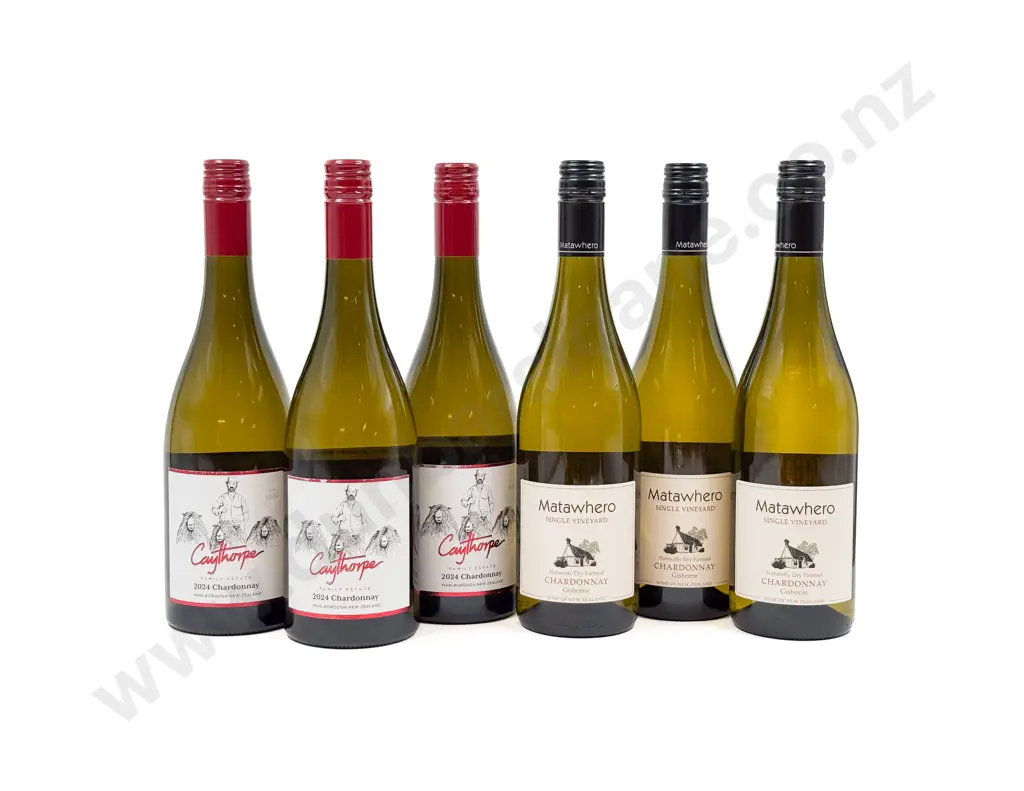 NZ Six Assorted Chardonnay Image 1++