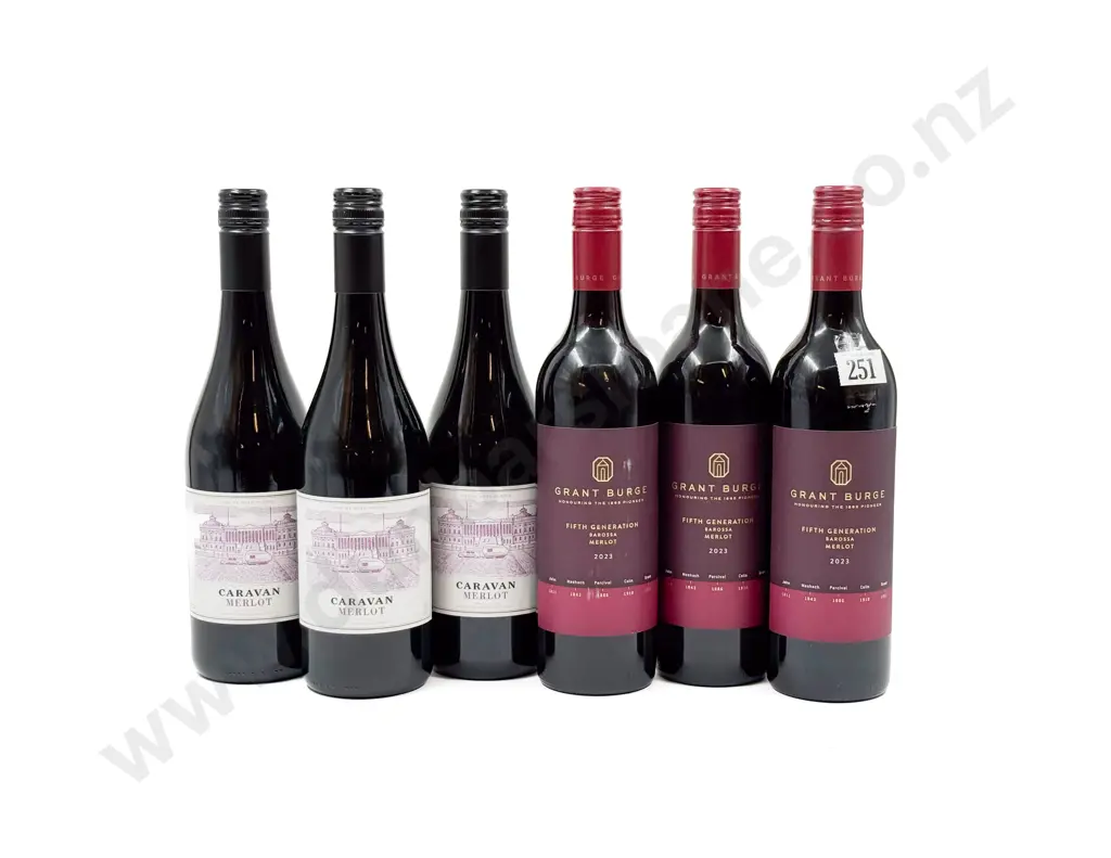 AUST Six Assorted Merlot Image 1++