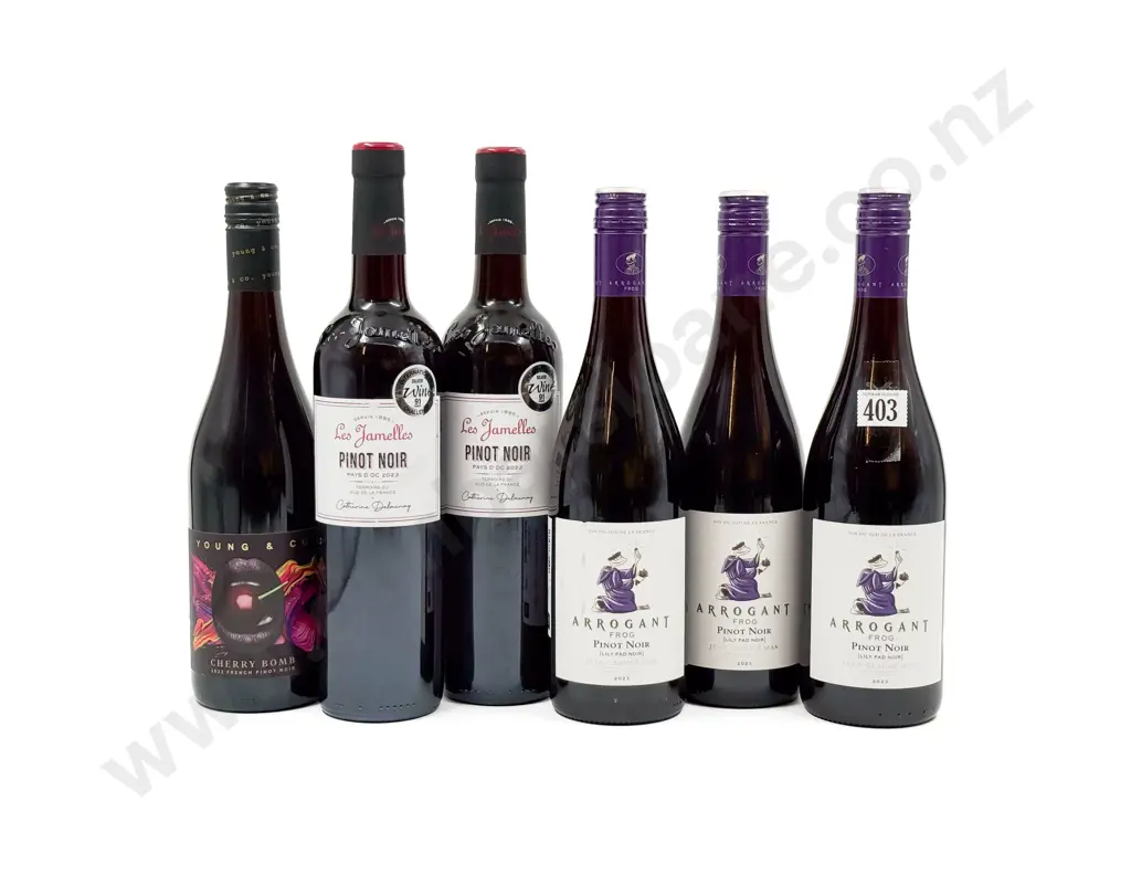 FRANCE Six Assorted Pinot Noir Image 1++