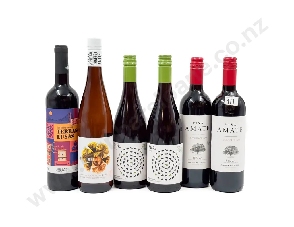 SPAIN Six Assorted Red Blends Image 1++