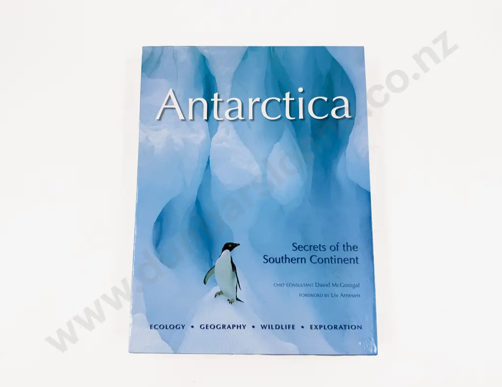 Boxed Volume - Antarctica Image 1++