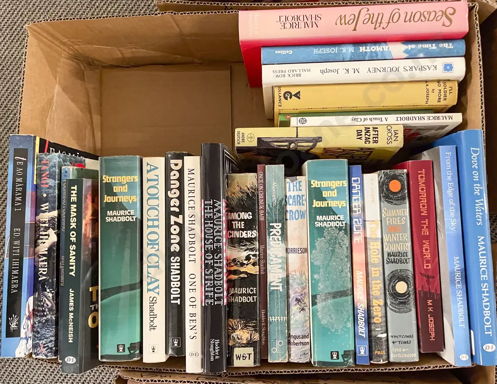 Box Quantity Assorted NZ Fiction Image 1++