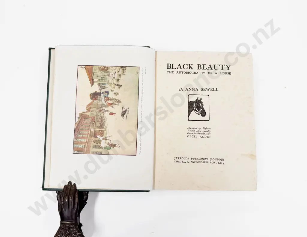 Anna Sewell - Black Beauty Image 1++