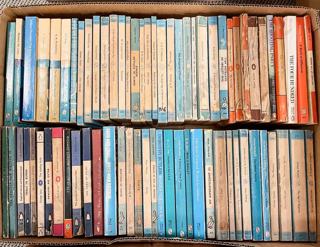 Box Assorted Penguins Image 1++