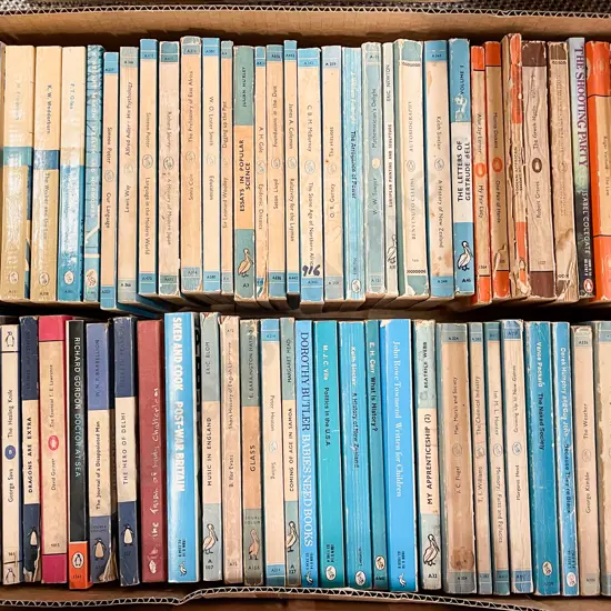 Box Assorted Penguins