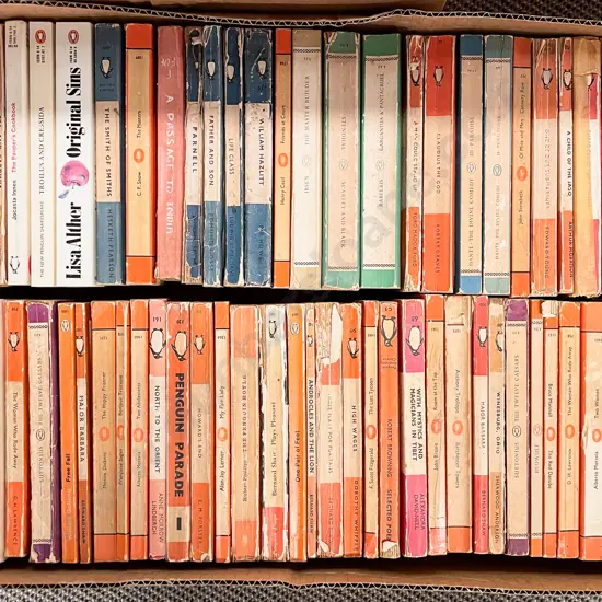 Box Assorted Penguins