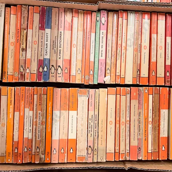 Box Assorted Penguins