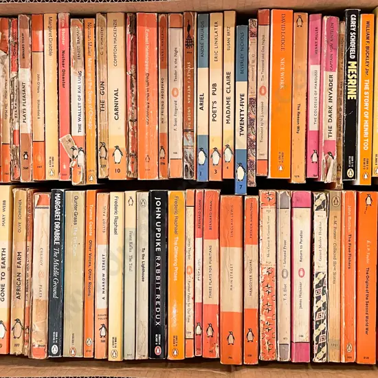 Box Assorted Penguins