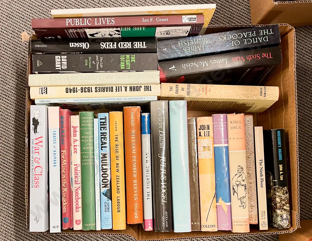 Carton Assorted NZ Political & Other Biographies Etc Image 1++