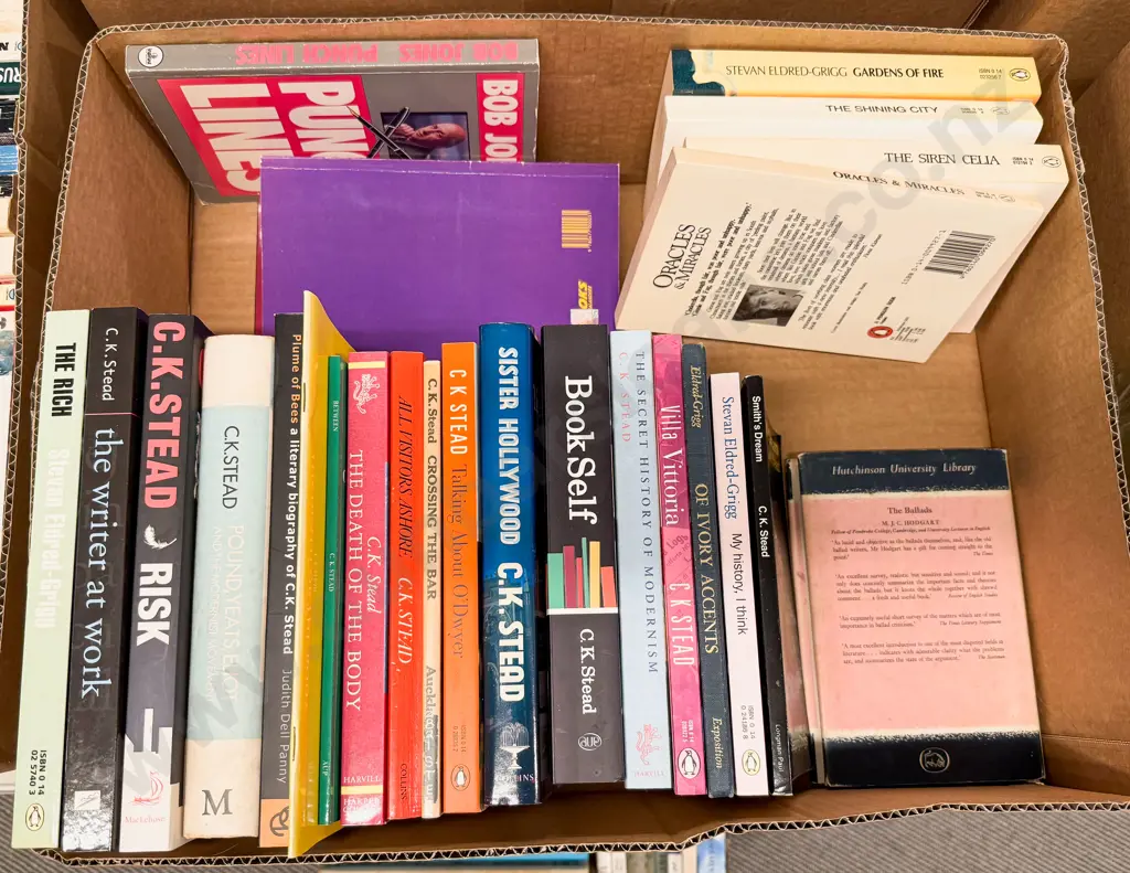 Box Assorted Mainly NZ Fiction Image 1++