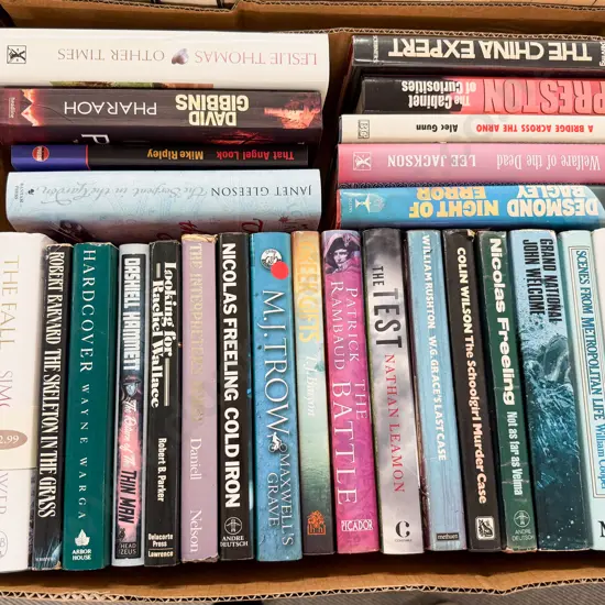 Box Assorted Modern Crime Fiction