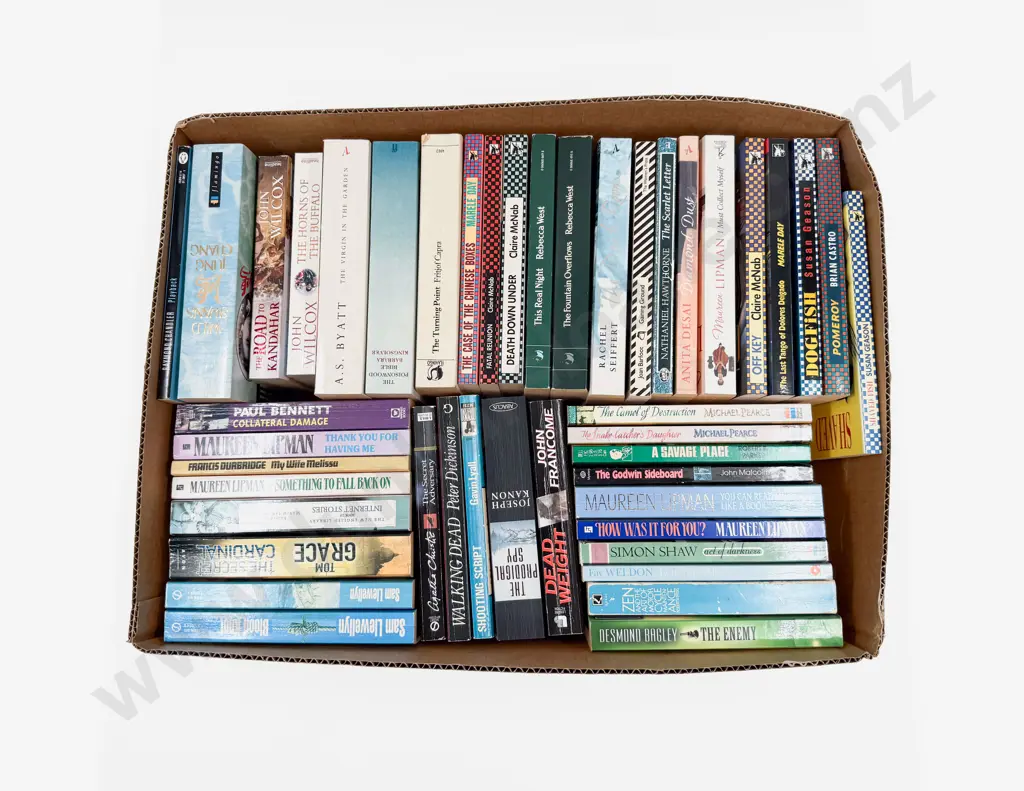 Two Cartons Assorted Paperback Fiction Image 1++