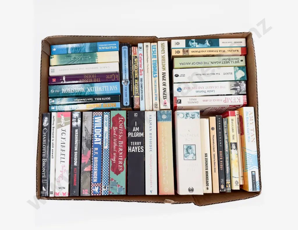 Two Cartons Assorted Paperback Fiction Image 1++