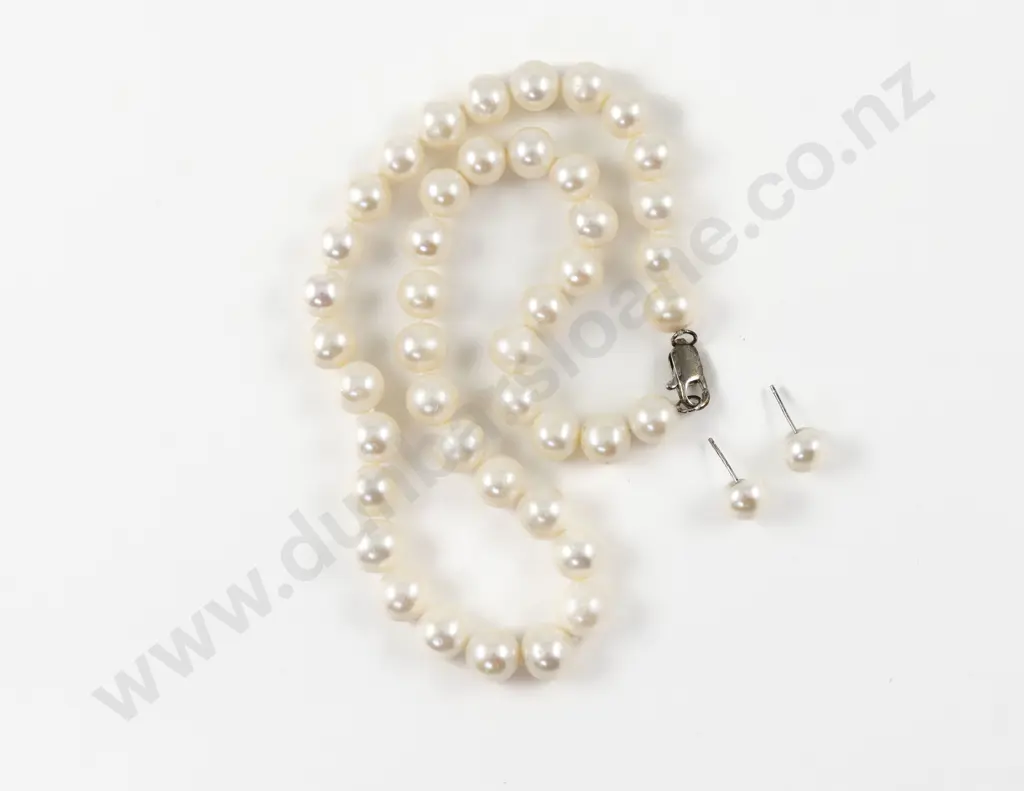 Single Strand Uniform Freshwater Pearl Necklace Image 1++