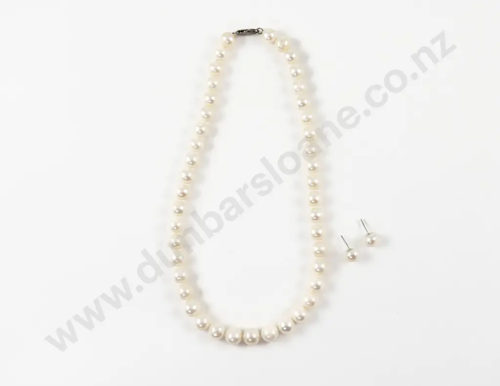 Single Strand Uniform Freshwater Pearl Necklace Image 1++