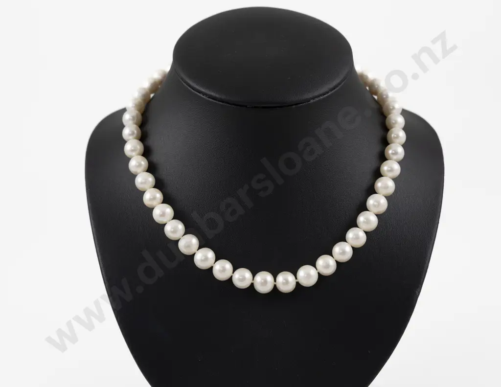Single Strand Uniform Freshwater Pearl Necklace Image 1++