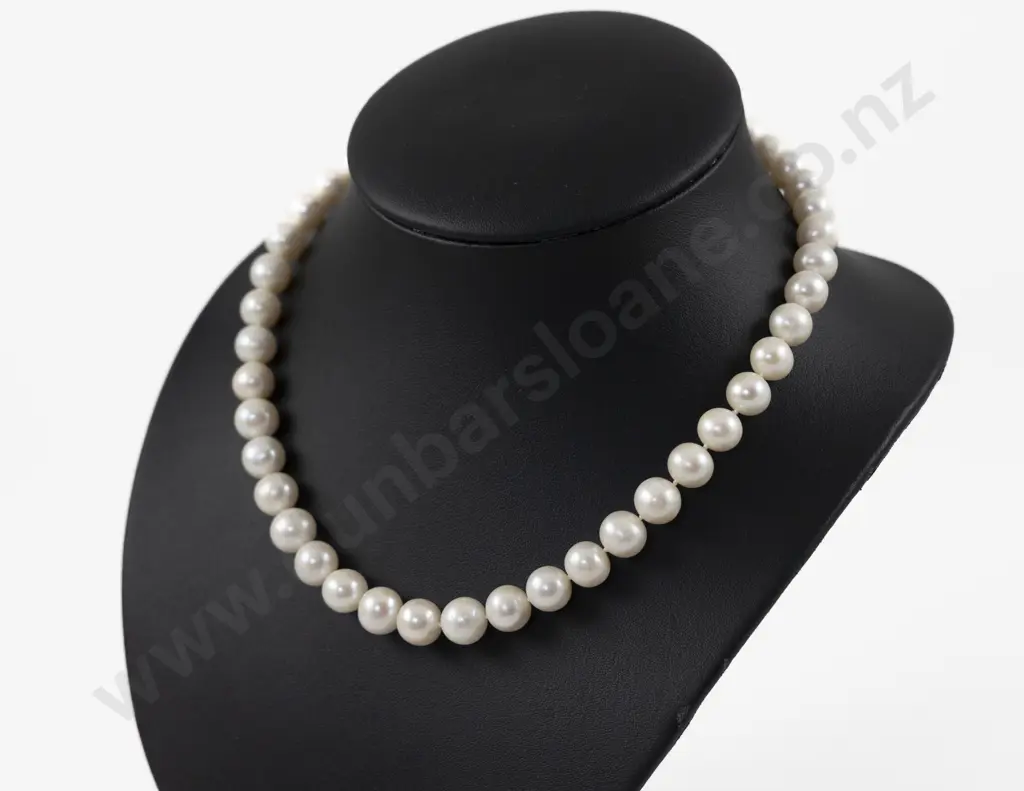 Single Strand Uniform Freshwater Pearl Necklace Image 1++