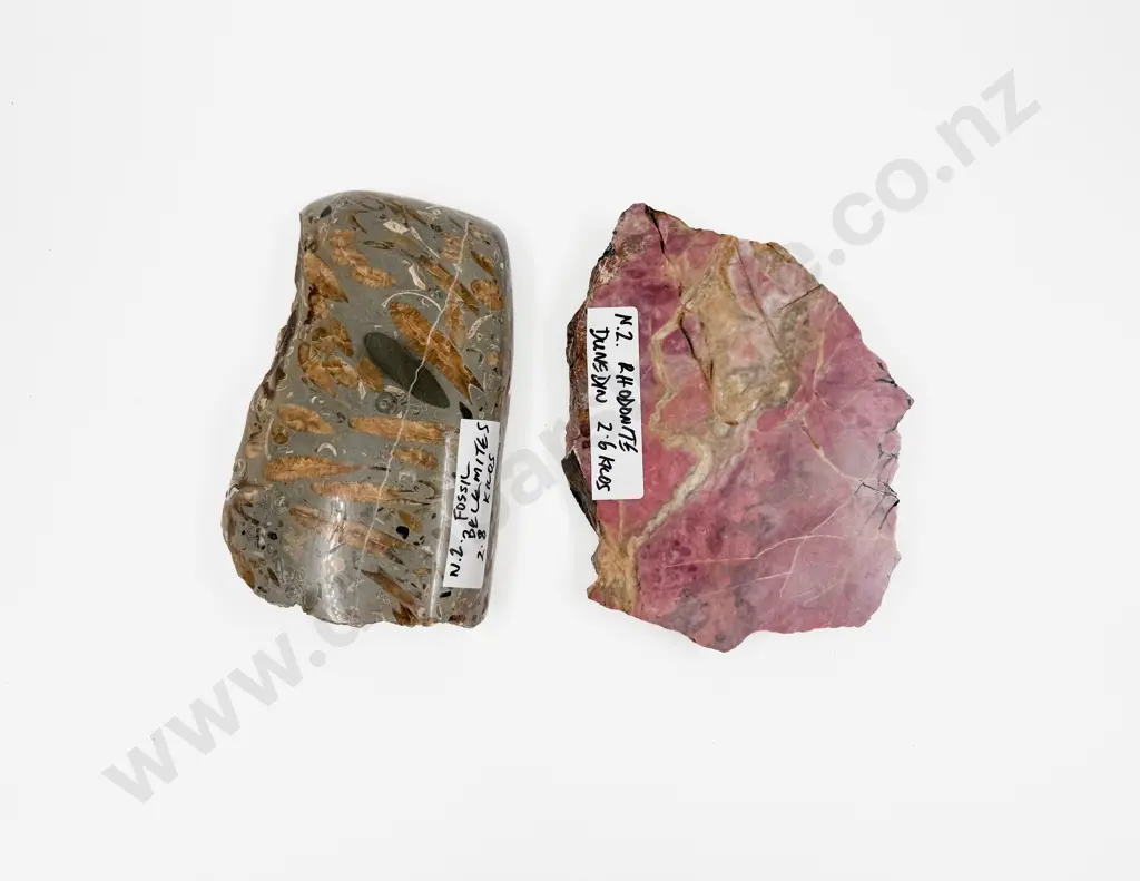 NZ Rhodonite Slab with NZ Belemites Fossil Slab Image 1++