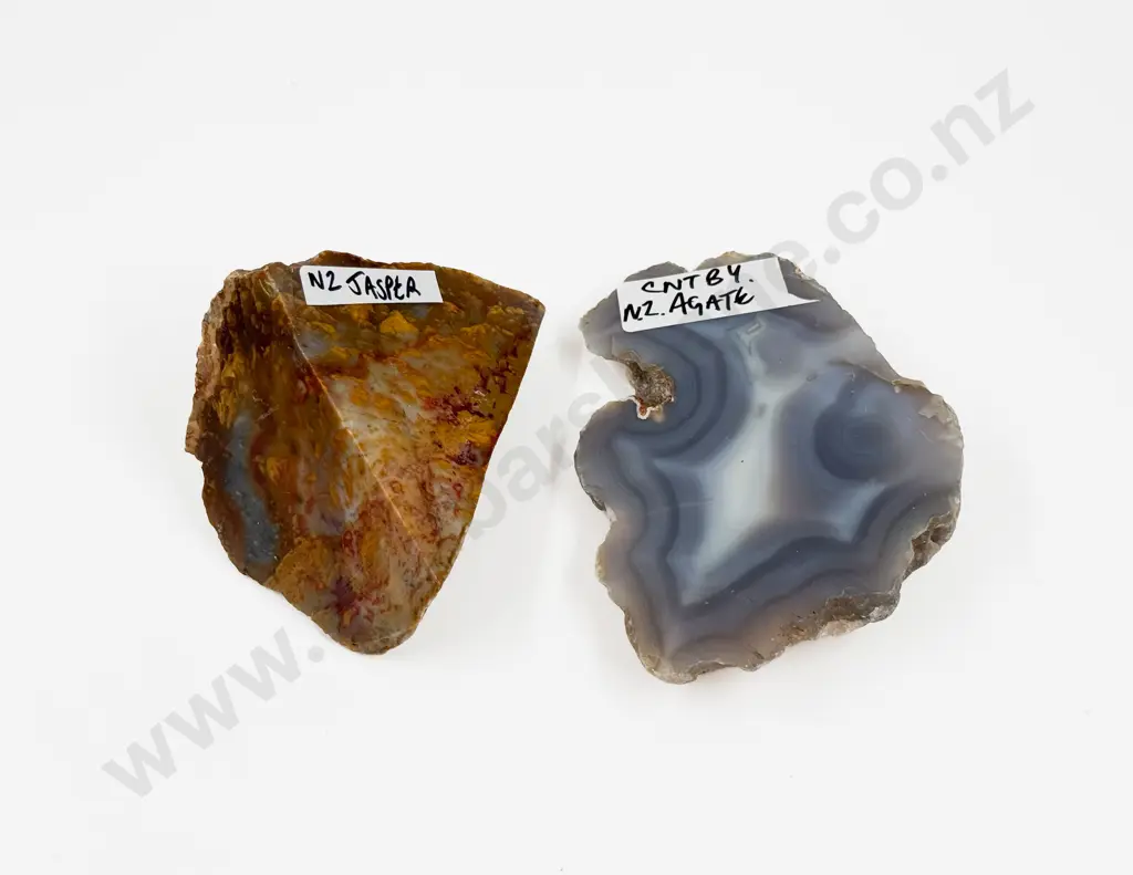 NZ Jasper & NZ Agate Image 1++