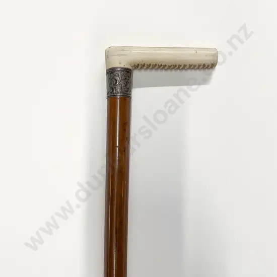 Ivory S/S Collar Walking Stick