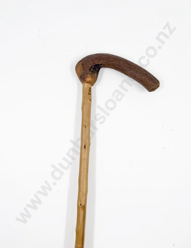Signed Hand Carved Coiled Snake Walking Stick Image 1++