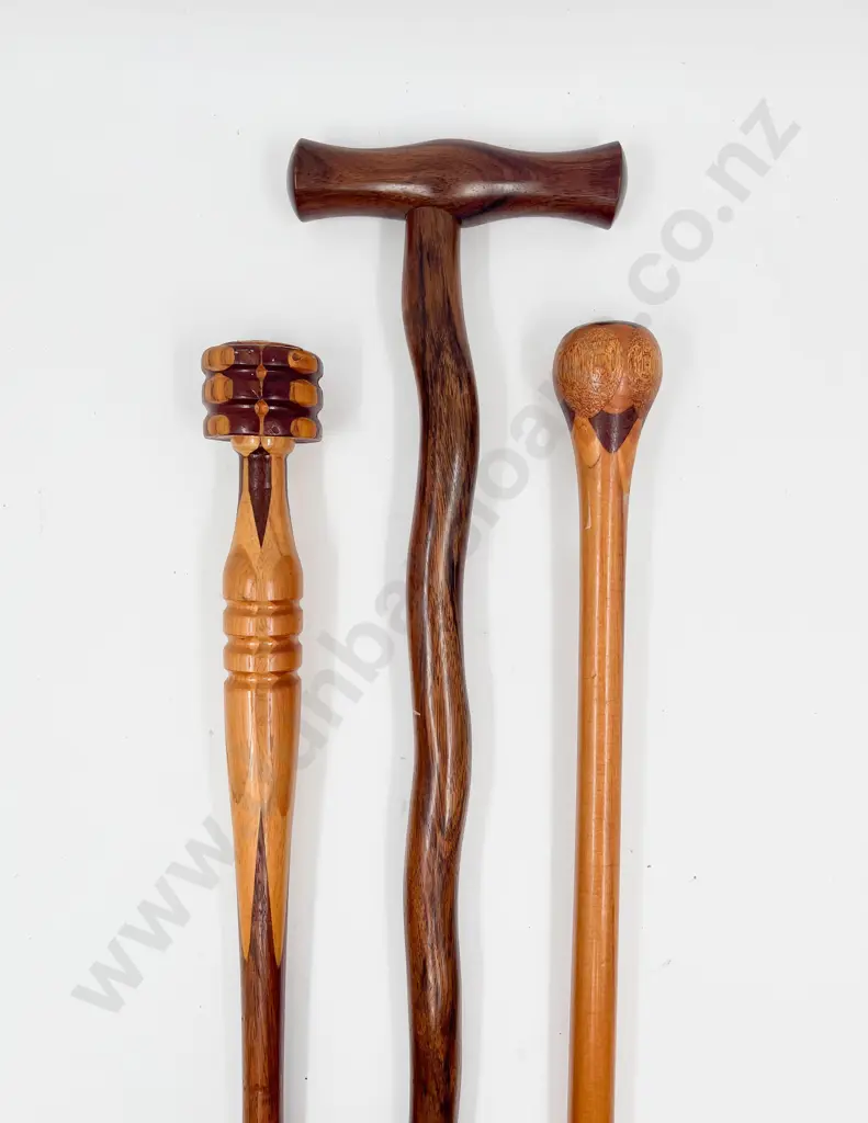 Three Inlaid and Plain Walking Sticks Image 1++