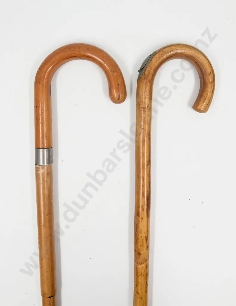 Two Walking Stick Incasing Horse Measure and Umbrella (tip of Umbrella stick missing) Image 1++