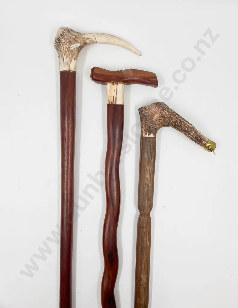 Three Antler Mounted Walking Sticks Image 1++