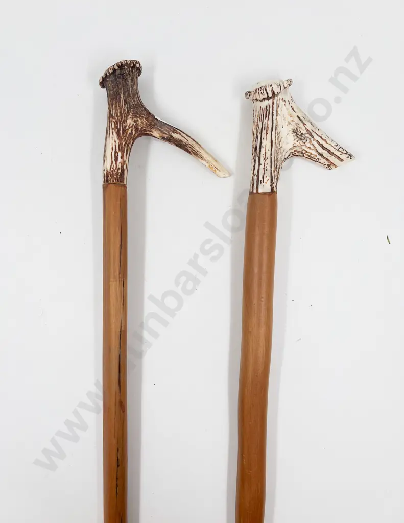 Two Antler Handled Walking Sticks Image 1++