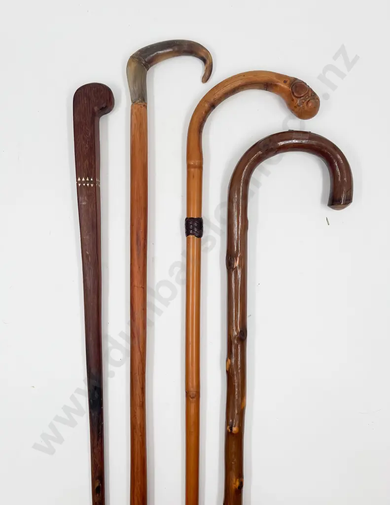 Four Various Walking Sticks Image 1++