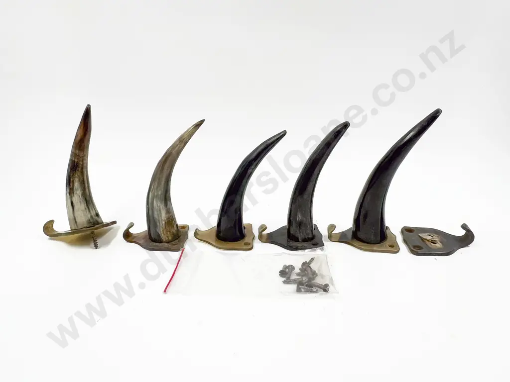 Five Horn Coat Hooks Image 1++