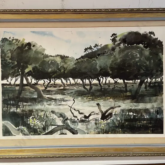 Douglas C - Swamp Study - W/C